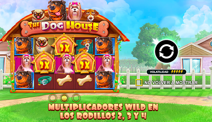 dog house slot